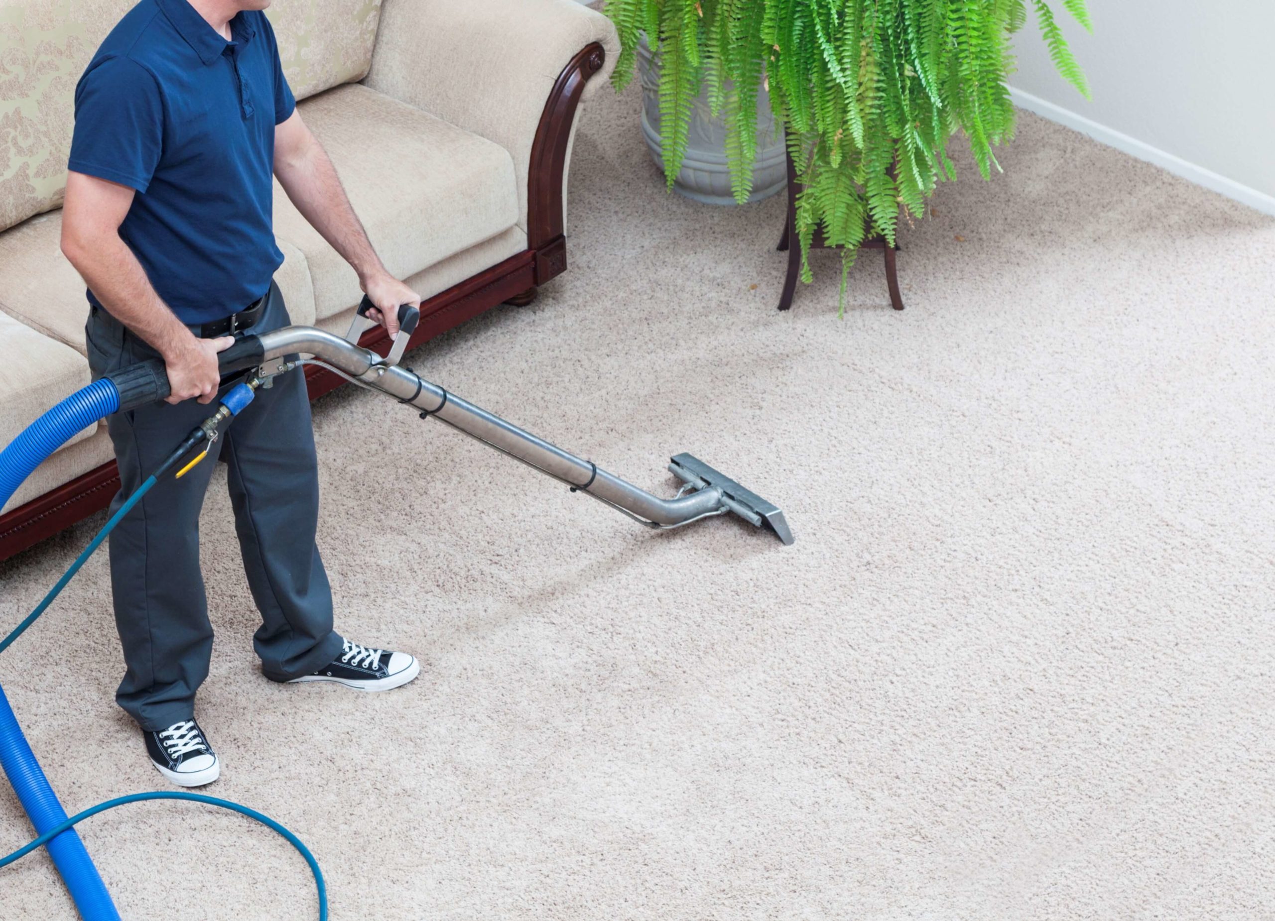 Cleaning carpets with steam cleaner фото 116