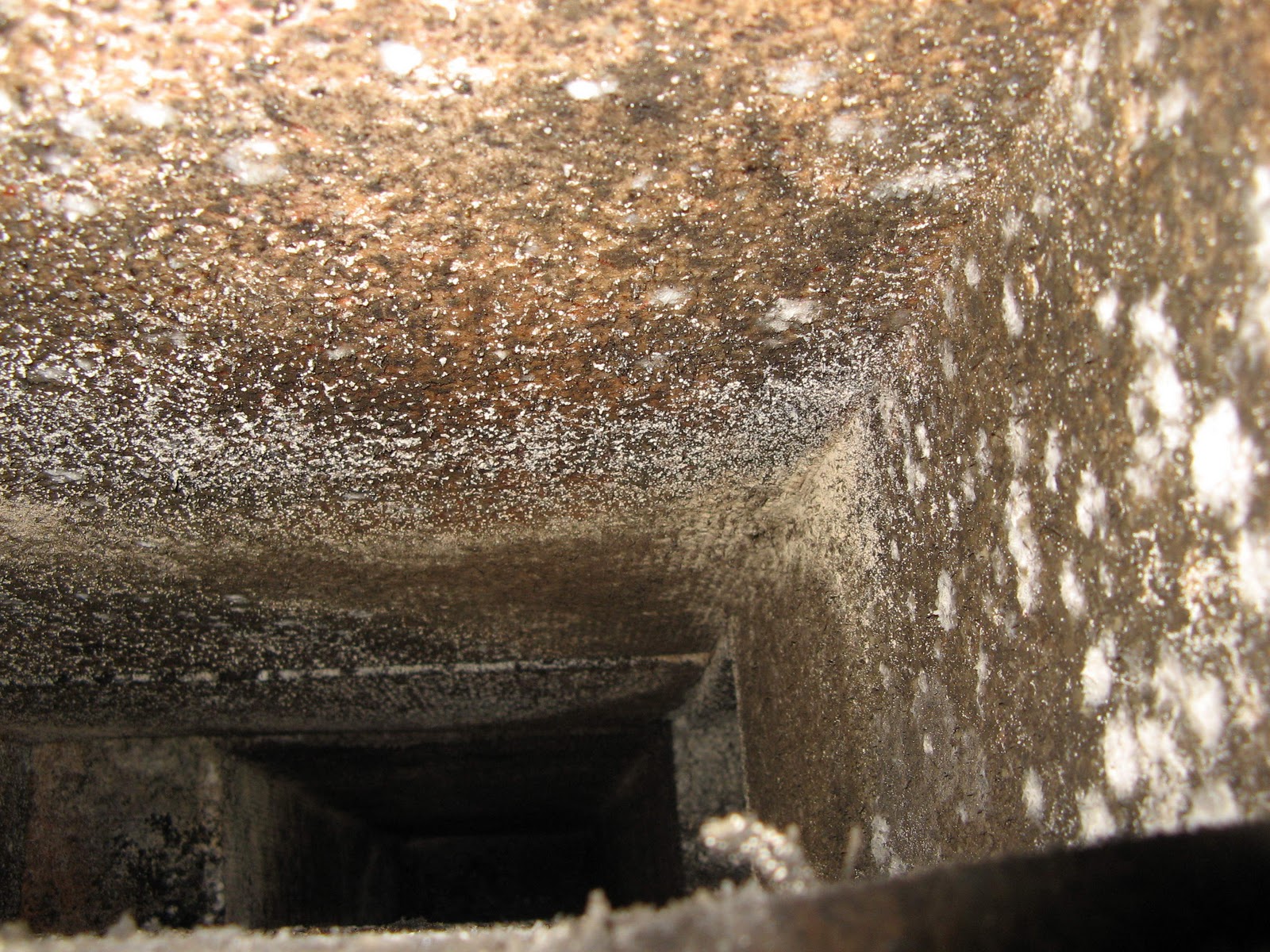 how-do-you-get-rid-of-mold-in-air-ducts-interior-magazine-leading