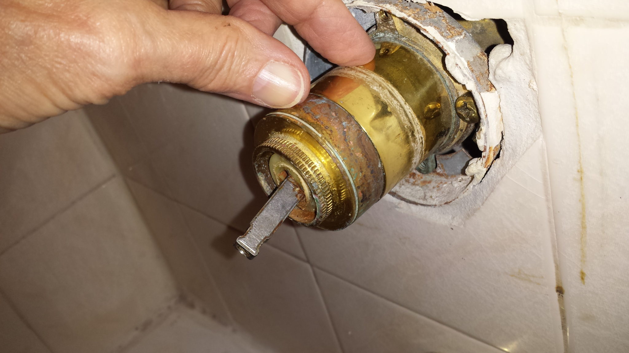 What causes a shower cartridge to fail? Interior Magazine Leading